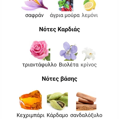 Saffron Amber Korres perfume 5 ml new decanted