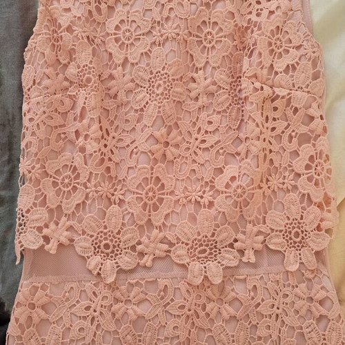 Lace dress in salmon peach shade with floral pattern and waist detail