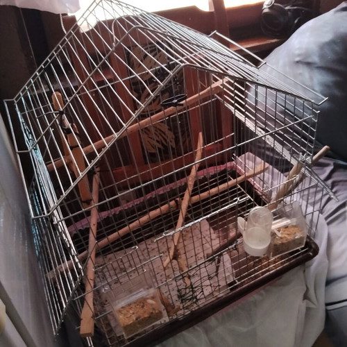 Birdcage for small and medium birds with house-shaped roof and accessories
