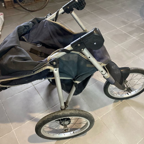 Instep 3-wheel aluminum stroller used for running