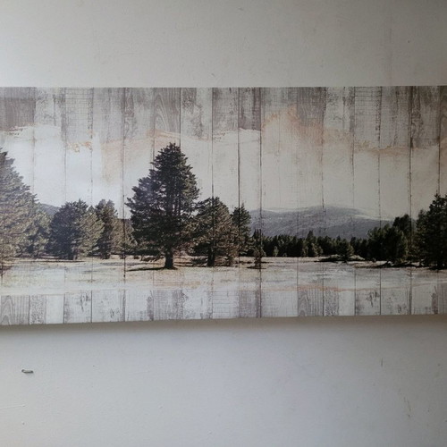 Painting snowy landscape with mountains and trees