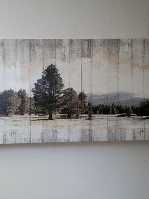 Painting snowy landscape with mountains and trees