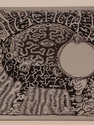 LP Dimentia 13 Mirror Mind used, psychedelic rock