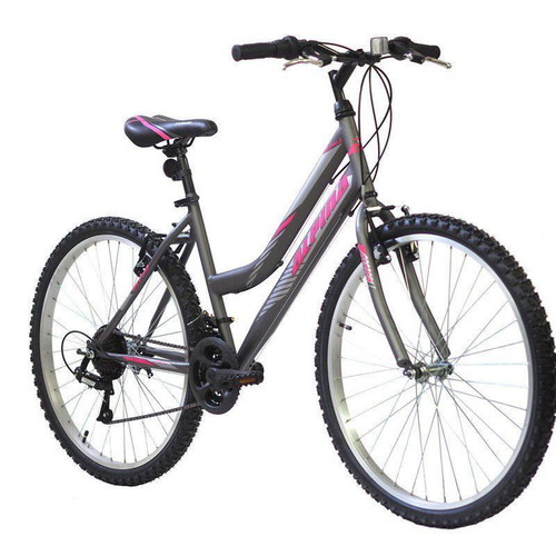 Alpina Alpha 24" 2021 Lady gray used
