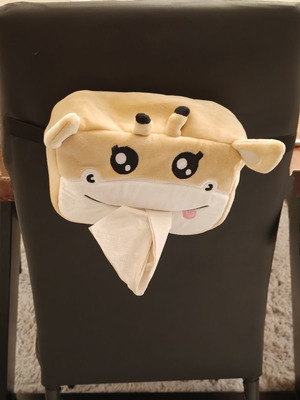 Giraffe Hanging Tissue Holder like new
