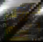  COUNTER STRIKE (XBOX)