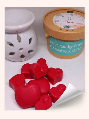 Gift set Waxmelts and burner new