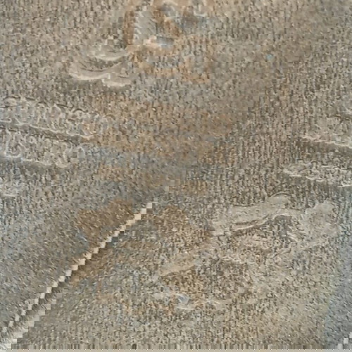 Δερμάτινες μπότες Giorgo Salustro no 41 μεταχειρισμένες, καφέ ταμπά