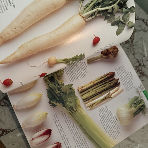 Ingredients Cookbook Greek Edition used, Loukie Werle & Jill Cox