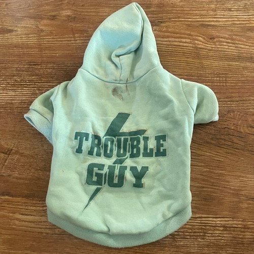 Dog shirt for small breed up to 8 years used with scratches