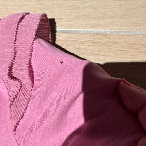 Set of 2 Zara T-shirts used, size M, pink and green