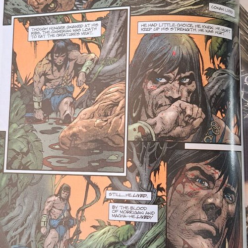 Conan the Cimmerian #16 Dark Horse comics like new
