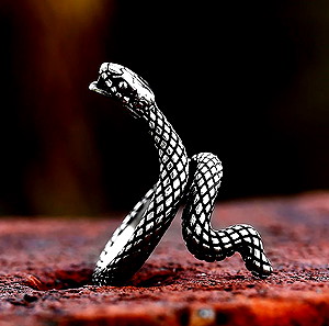 Ατσάλινο Δαχτυλίδι Snake