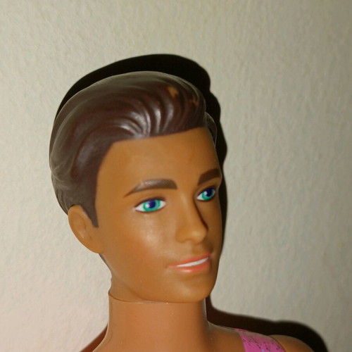Paul Skater collectible Hasbro Sindy 1996 used