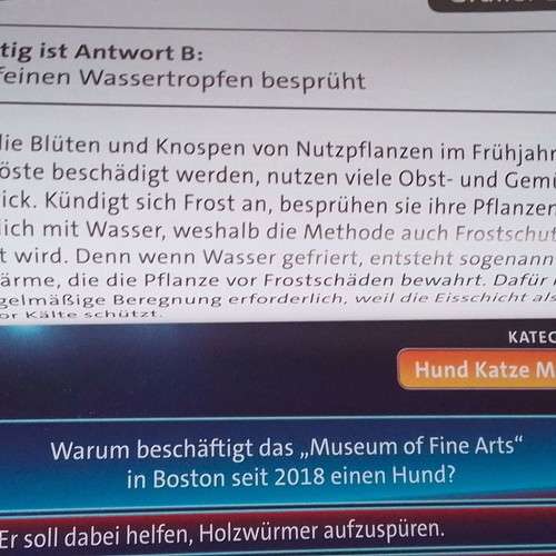 Wer weiß denn sowas? 2022 board game new, HEYE