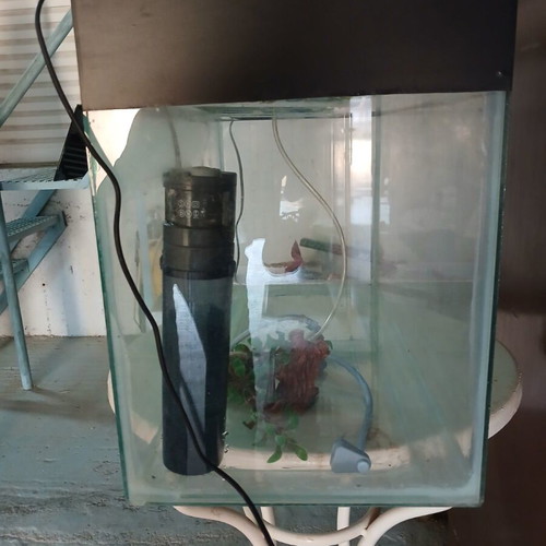 Aquarium used with lighting, filter, oxygen device, and decoration