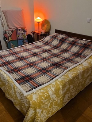 Varagkis bed used, dimensions 1.65×2 m