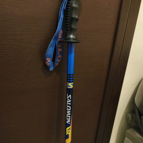 Elan Comprex R 168cm skis used with 2 Salomon and Scott batons