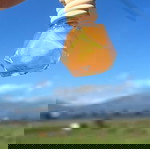 Car diffuser χειροποίητο καινούργιο