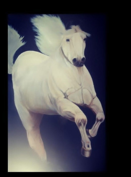 White horse