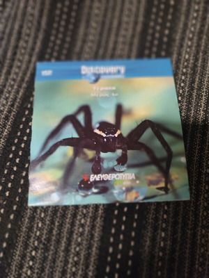 Discovery Channel Monsters Terata Part 1 VCD video disc