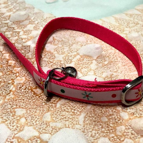 Cat collar new, suitable for all breeds and sizes
