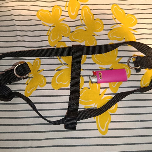 Dog harness like new, small to medium size