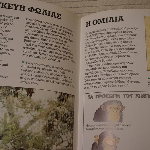 Book about chimpanzees