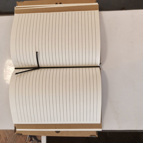 One Piece notebook with blank and lined pages handmade
