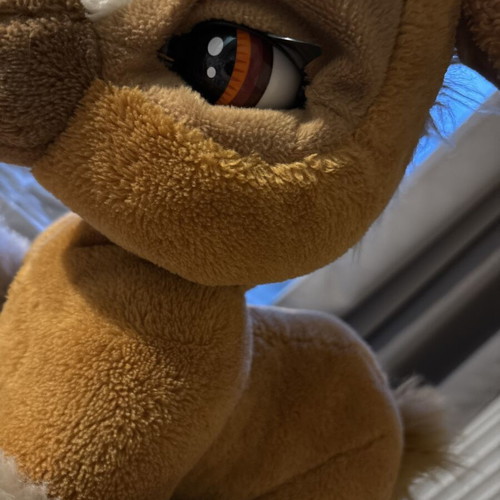 Emotion Pets Toffee the Pony plush toy used with brush