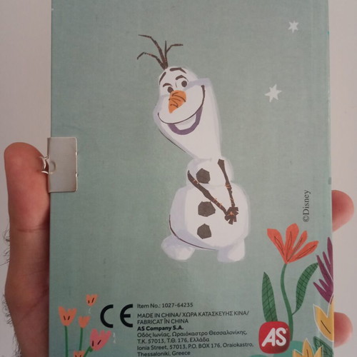Disney Frozen notebook