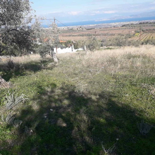 Land plot 220 sqm with 13-meter road frontage, Panorama Zegolatio location
