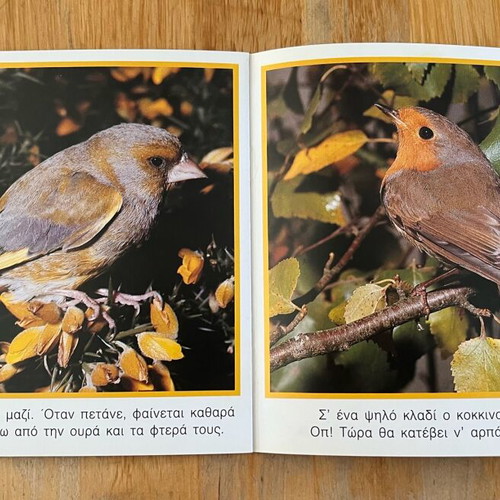 Set of 3 small books about European fauna like new
