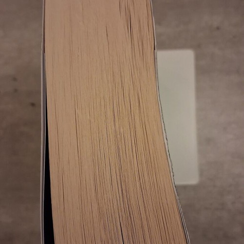Camilla Lackberg Moirologitra mystery novel