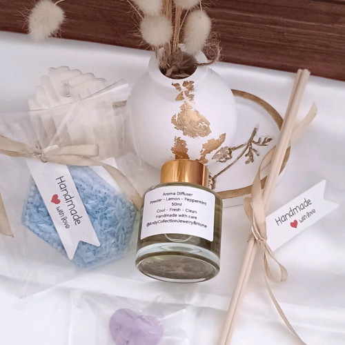 Reed Diffuser 50ml with Ocean Wave closet tablet and wax melts gift