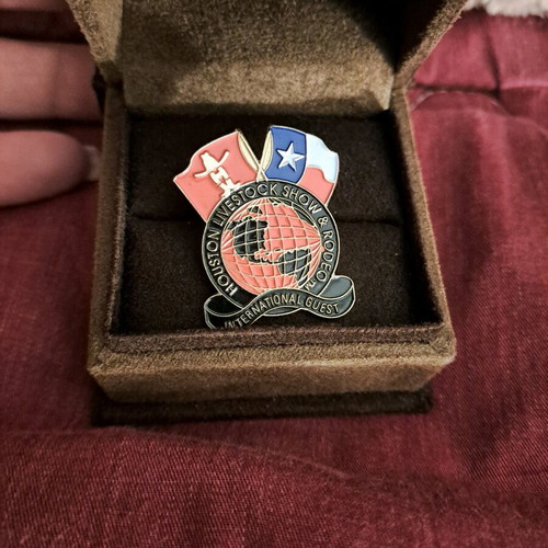 Collectible pin like new from Rodeo Houston Texas
