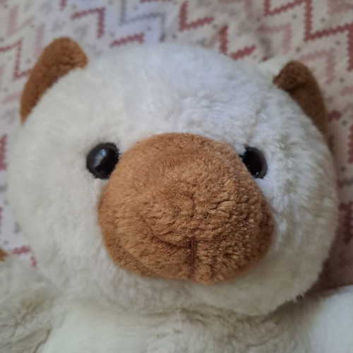 Vindage teddy bear used, medium size