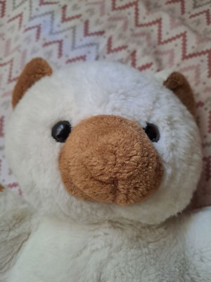 Vindage teddy bear used, medium size