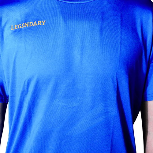 Legendary T-shirt blue, new, 85% polyester 15% spandex
