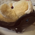 Beige plush teddy bear 60cm