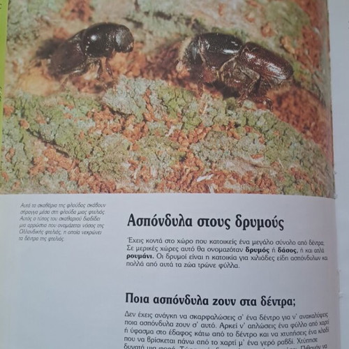 The Young Scientist Invertebrate Animals book like new