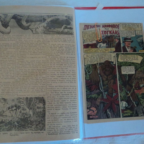 Tarzan collection of about 100 used illustrated clippings and stories