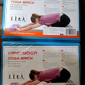 Yoga bricks