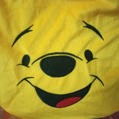 Children's decorative pillow covers used, set of 6 with Elmo and Winnie the Pooh