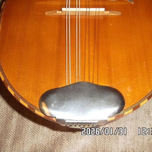 Italian Mandolin used with waterproof case and pickup