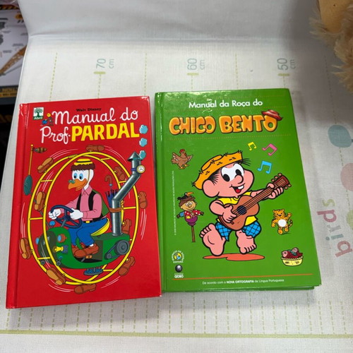 Manual do Professor Pardal and Manual Chicco Bento used, bundle lot