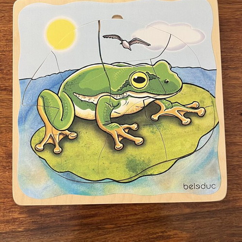 Belsduc 5-Layer Frog Wooden Educational Puzzle Montessori