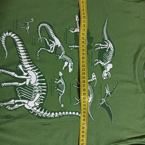 Old Navy short sleeve T-shirt for boys 14-16 used, green
