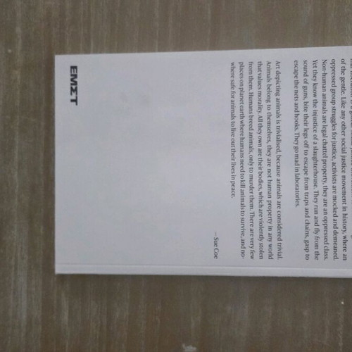 Why Look at Animals book like new, English edition
