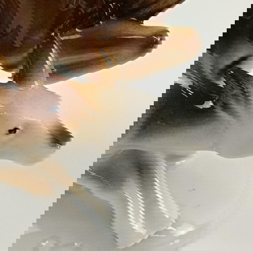 Vintage πορσελάνινο διακοσμητικό Carl Scheidig Gräfenthal σαν καινούργιο